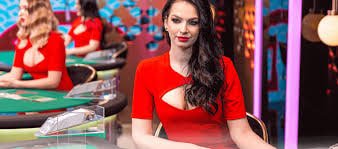 shoei33 Jelajahi Mesin Slot Kami yang Penuh Pilihan